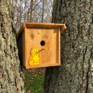 🎉Everything Pets HOST PICK🎉 Handmade birdhouse